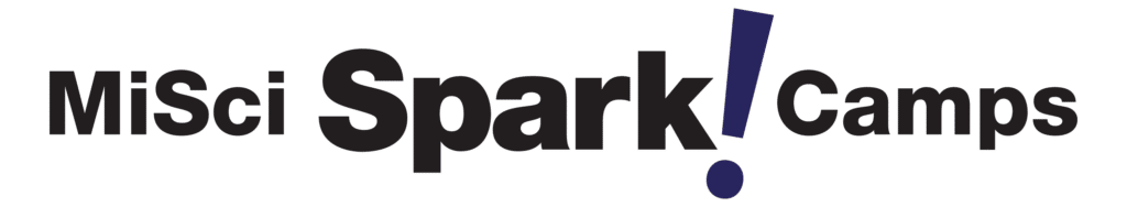 sparkcamp logo black purple