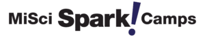 sparkcamp logo black purple