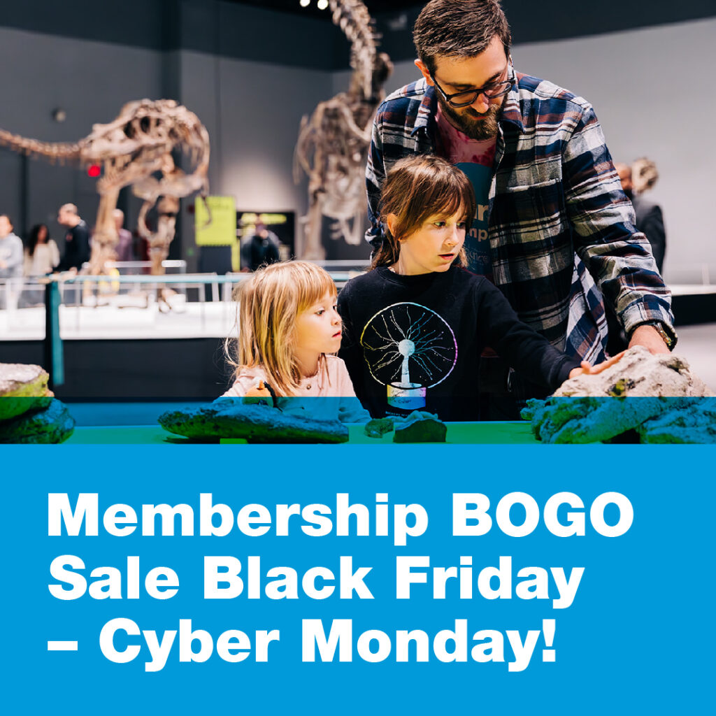 misci november 24 instagram 11.29.24