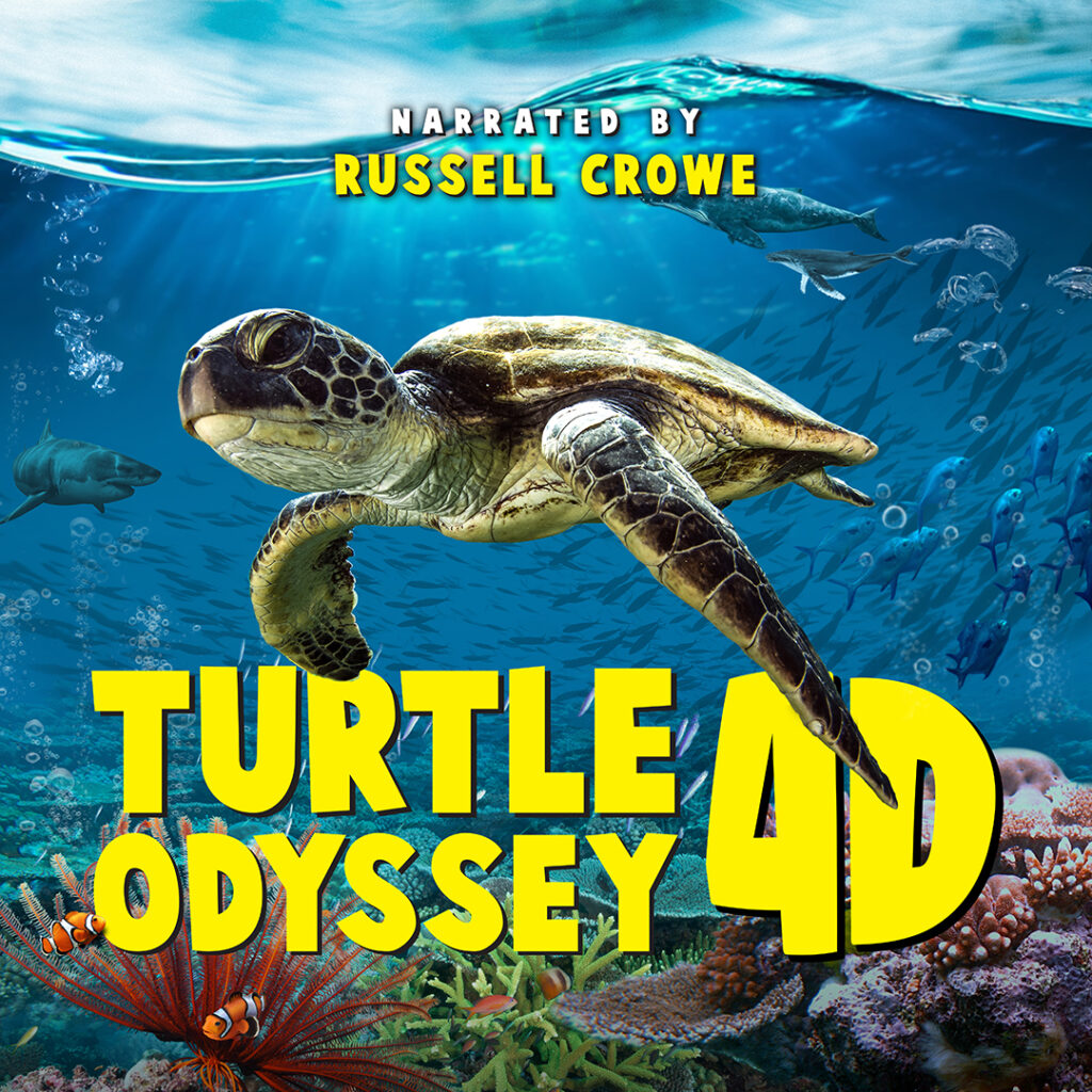 turtle odyssey 4d 1080x1080