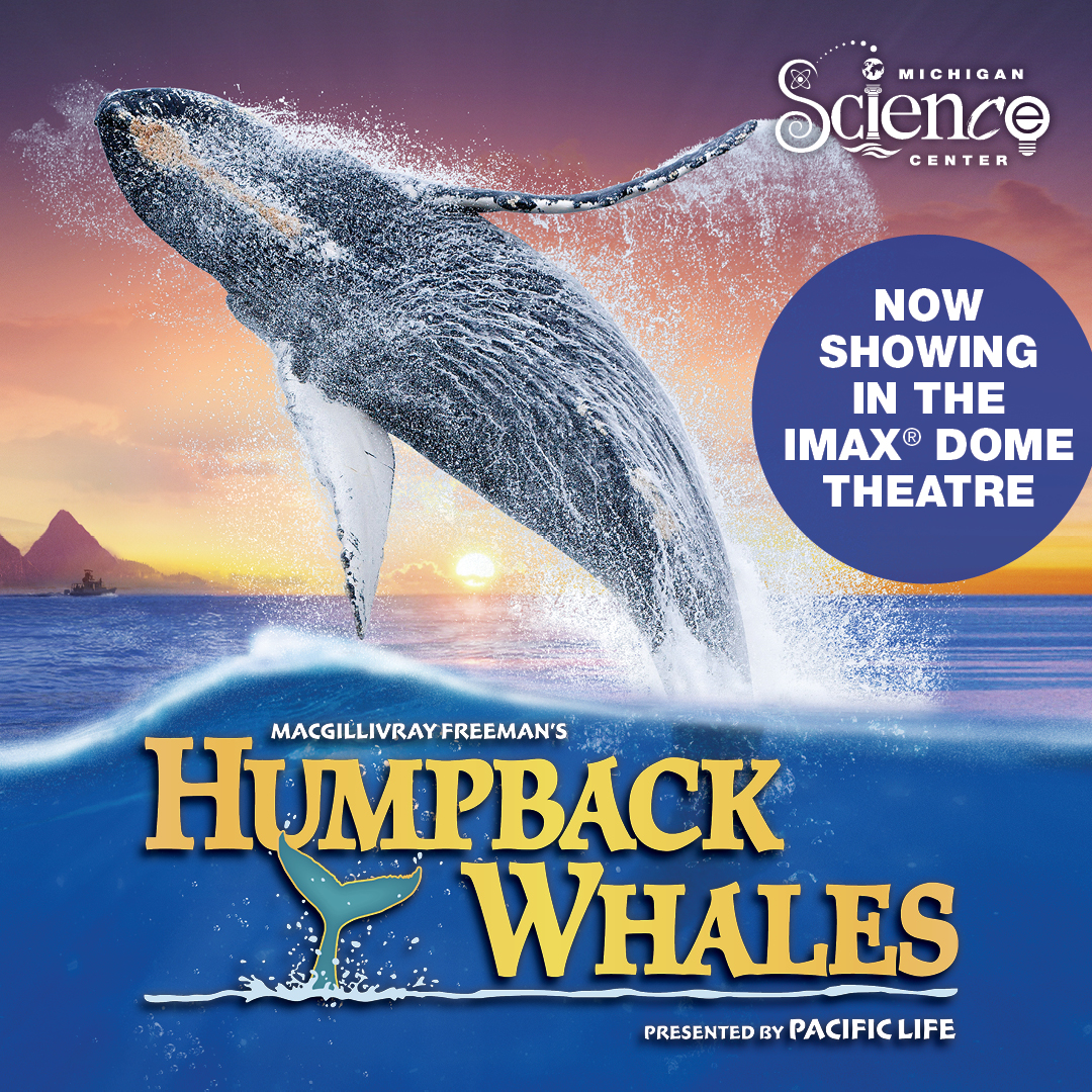 humpback whales socials 1080x1080