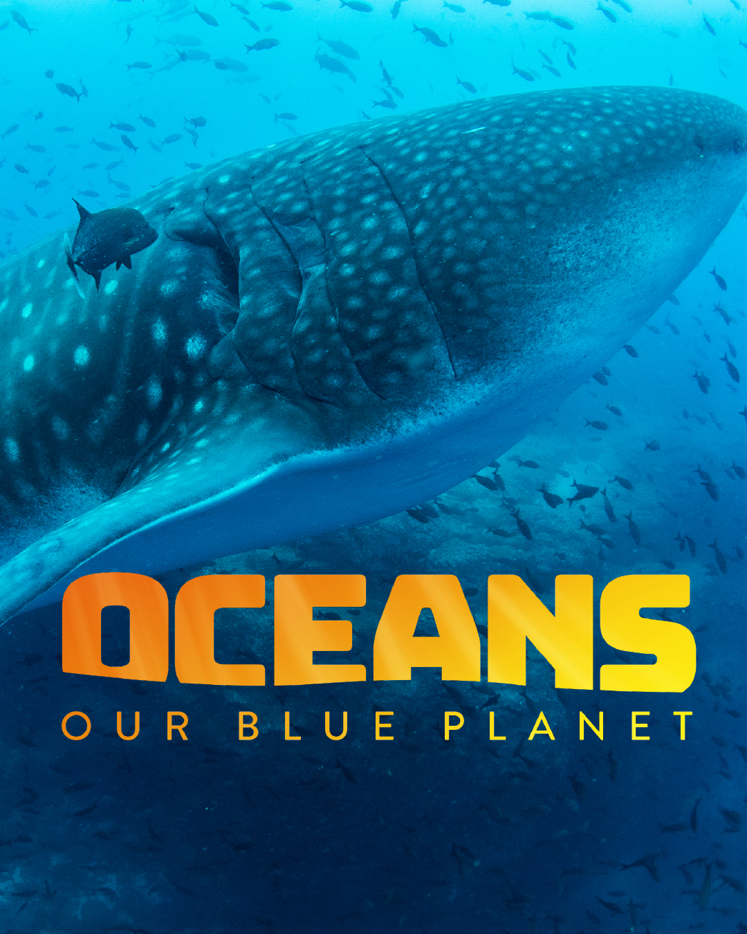 our blue planet