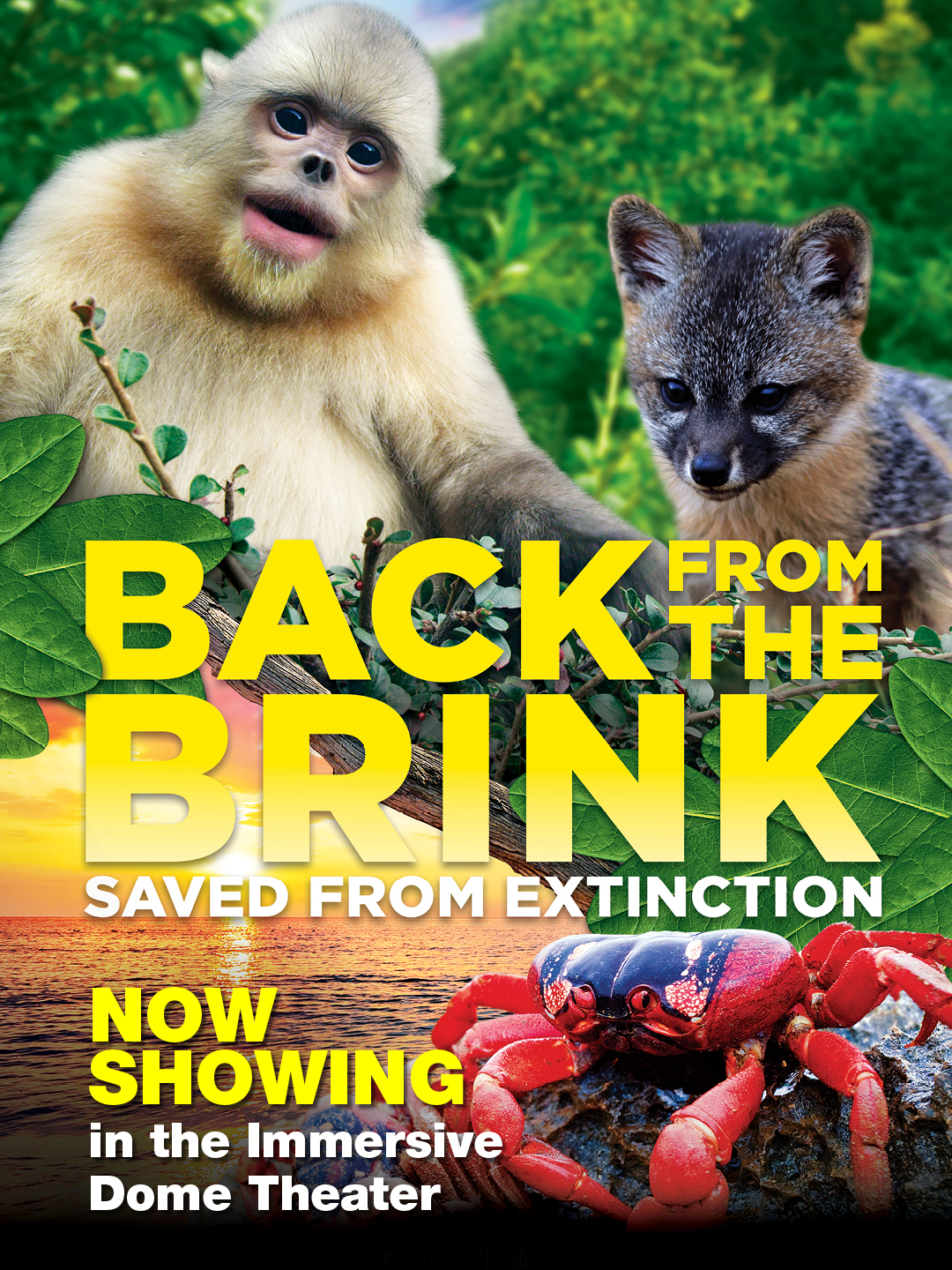 back from the brink 1080x1440